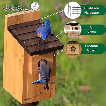 Amazon.com: Wild Wings WWCH3 Cedar Blue Bird Box House
